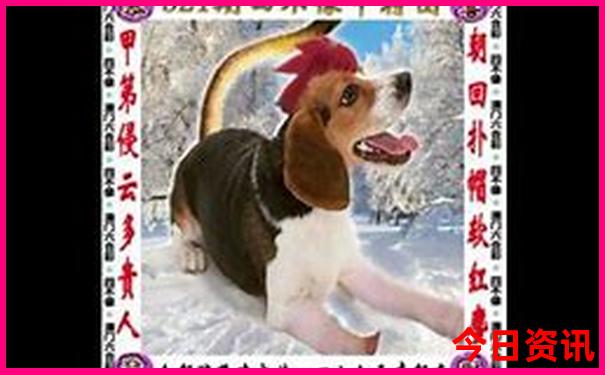 南戴河旅游攻略一日游